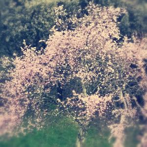 Shine (feat. EITS)