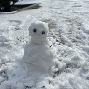 你就不要想起我