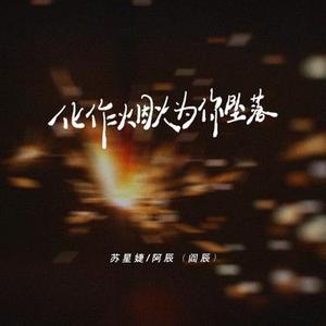 化作烟火为你坠落 (0.85x)