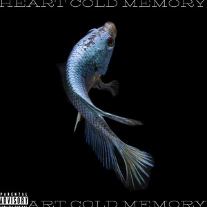 HEART COLD MEMORY