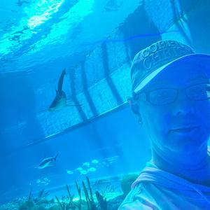 I Fall For Beautiful