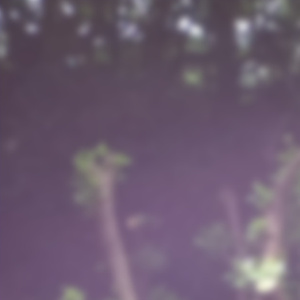 It Never Rains Around Here