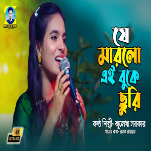 যে মারলো এই বুকে ছুরি তার পিছনে কেন ঘুরি