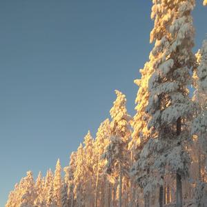 Tää Tuoksuu Hyvältä