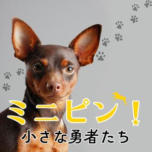 ミニピン！〜小さな勇者たち〜