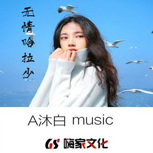 无情哈拉少(DJ版)