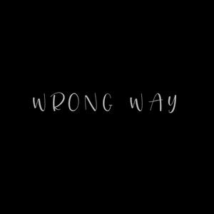Wrong Way