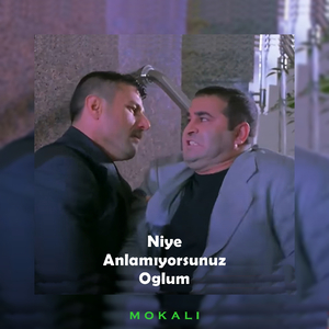 Niye Anlamıyorsunuz Oglum
