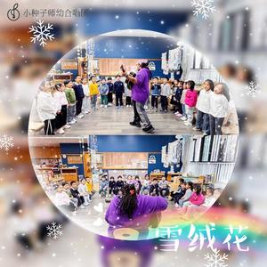 雪绒花(中英双语版)