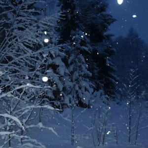 冬季(prod.by Morrow x FAS)