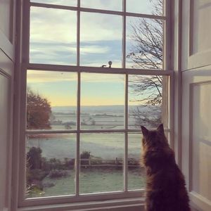 不开心就去超市，你会听见好消息