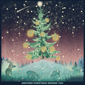 Another Christmas Missing You