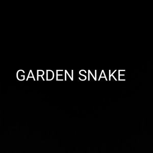 GARDEN SNAKE