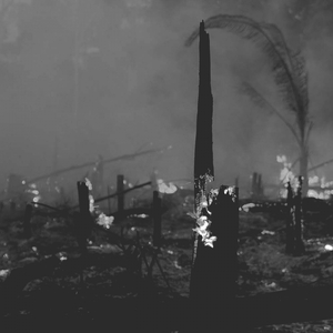 Acrux (Original Mix)