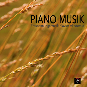 Beethoven - Piano sonata 09 opus 14 2 3d Part