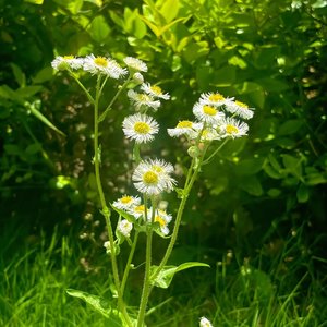 你是我最想留住的晴天