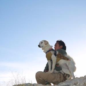 来自雪山的礼物(To 央莫)（Nor600 诺布 ）