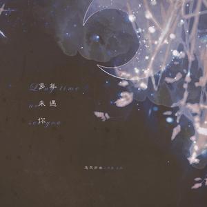 多年未遇你（翻自 烟霞）