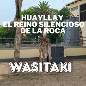 Huayllay – El Reino Silencioso de la Roca