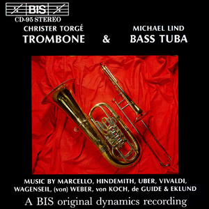 Cello Sonata in B-Flat Major, RV 47 (arr. for trombone and organ):III. Largo