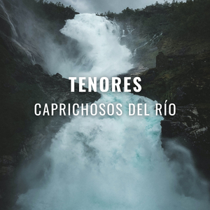 Fuente Inequívoca