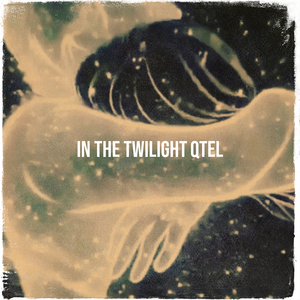 In the Twilight