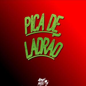 Pica de Ladrão