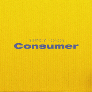Consumer