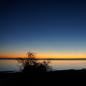 Immersion in the Night (Original Mix)