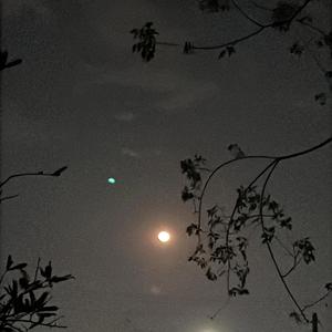 Agradecido con la vida