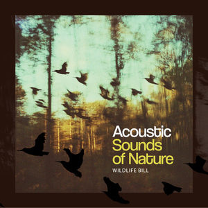 Lackadaisical Native