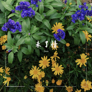 莫文蔚-未了情（钢琴改编）（Damjac remix）