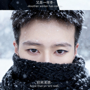 凤凰花开的路口