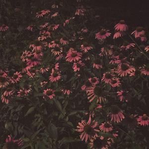 万般美好不如你