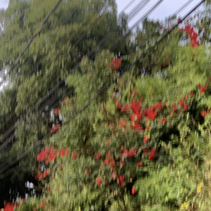 Perfeito?