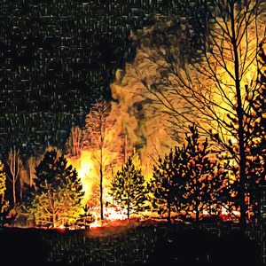 Watermark Selectedly