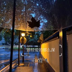 曾经爱的那么深