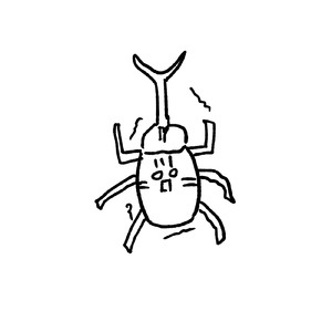 え？ちょっと待って寒すぎない？