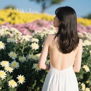 忘情忘爱 (烟嗓版)