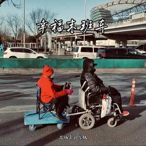 幸福末班车(The Last Ride Home)