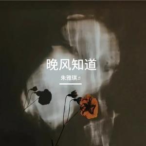 晚风知道