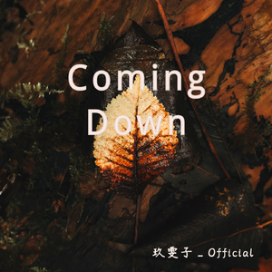 Coming Down(Edit)
