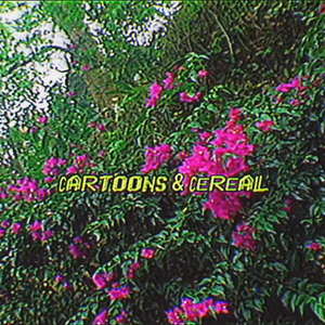 The Boy Without A Fairy - Instrumental