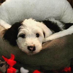 4th Song (feat. Matthew Clanton)