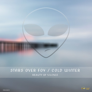 Beauty of Silence (Cold Winter Drone Mix)