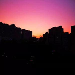 Pineapple meow(菠萝瞄D21~)