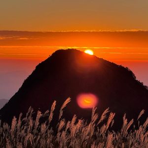 狗儿要听狗儿歌（藏语版）