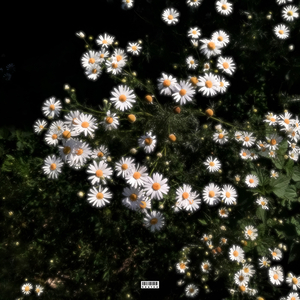 Создал, чтобы в тебя влюбиться