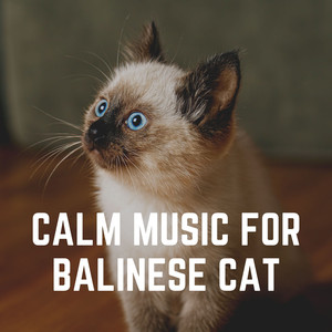 Ultimate Zen Music for Your Cat, Pt. 7