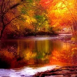 人气不过肥皂泡